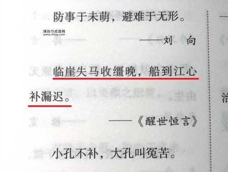 船到江心补漏迟(怎么补才有效)