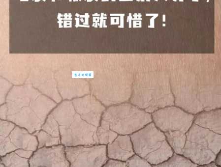 龟裂是什么意思？皮肤龟裂和土地龟裂有何区别？