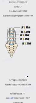 腰酸背痛是啥原因？教你快速找到病根