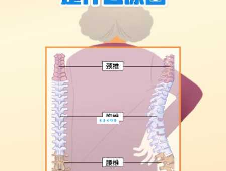 腰酸背痛是啥原因？教你快速找到病根